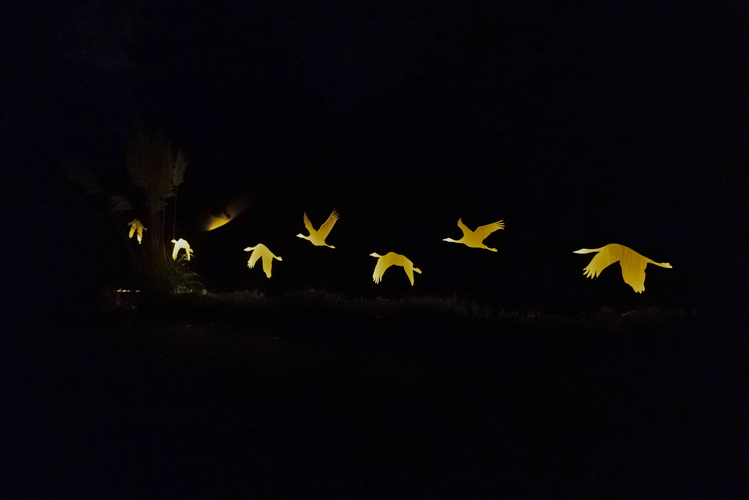 Beleuchtete Gaense-Lichtobjekte im naechtlichen Garten des HaferLandHauses
