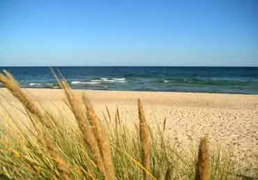 Strand mit Dünengras
